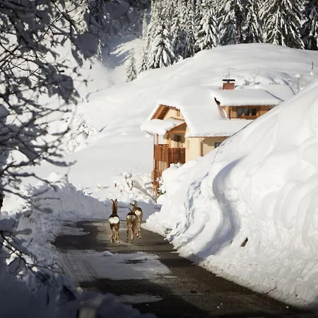 Sotciastel Antico Chalet *