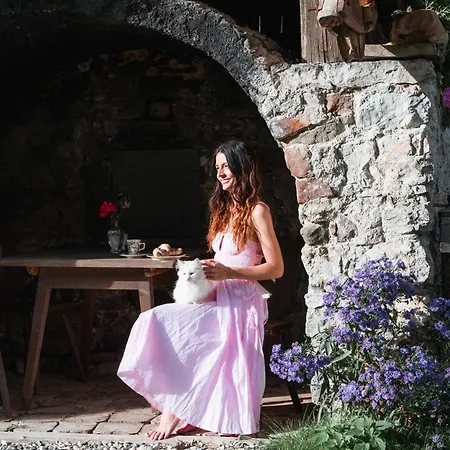 Chalet Sotciastel Antico